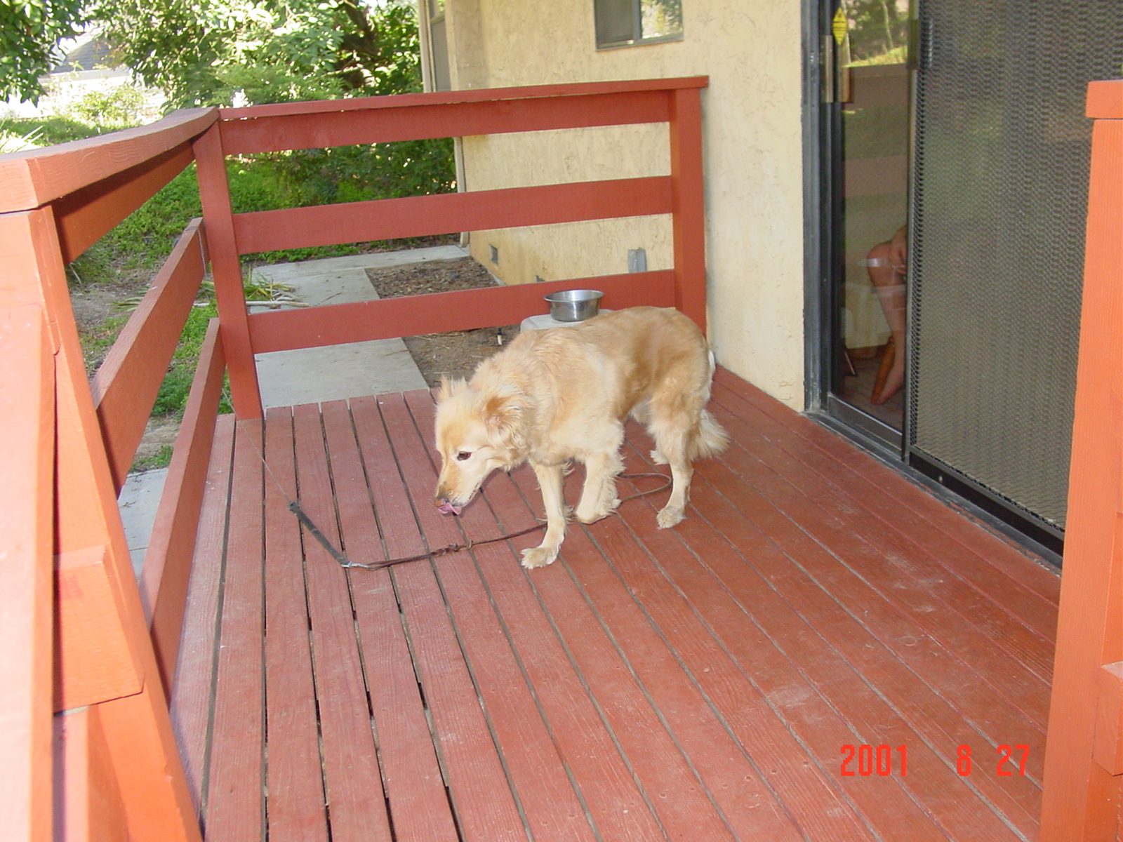 2406 photo 50